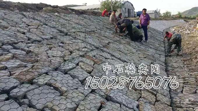 雙隔板雷諾護墊