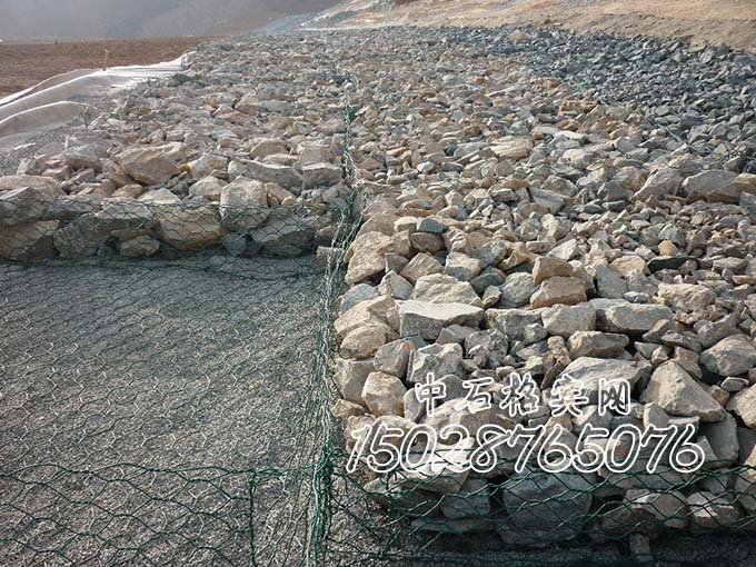 雙隔板雷諾護墊